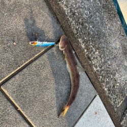 ショアジギング