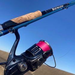 やっと春が来たにゃ！