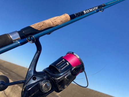 やっと春が来たにゃ！