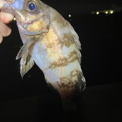 とりあえずリミットメイク