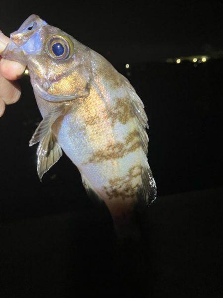 とりあえずリミットメイク