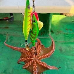 明石タコ開幕戦