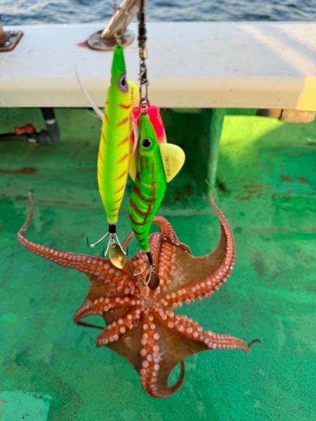 明石タコ開幕戦