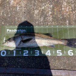 ⭐️久しぶり手応え