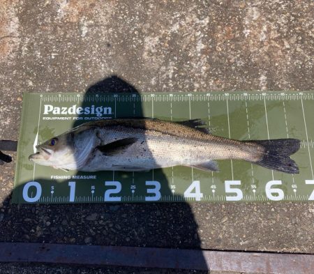 ⭐️久しぶり手…