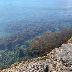 台風前エギング