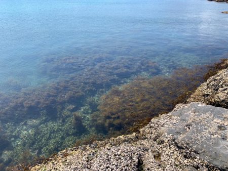台風前エギング