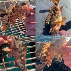 一年以上ぶりに来てみたら値上がりしてました!