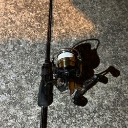 風強めのアジング