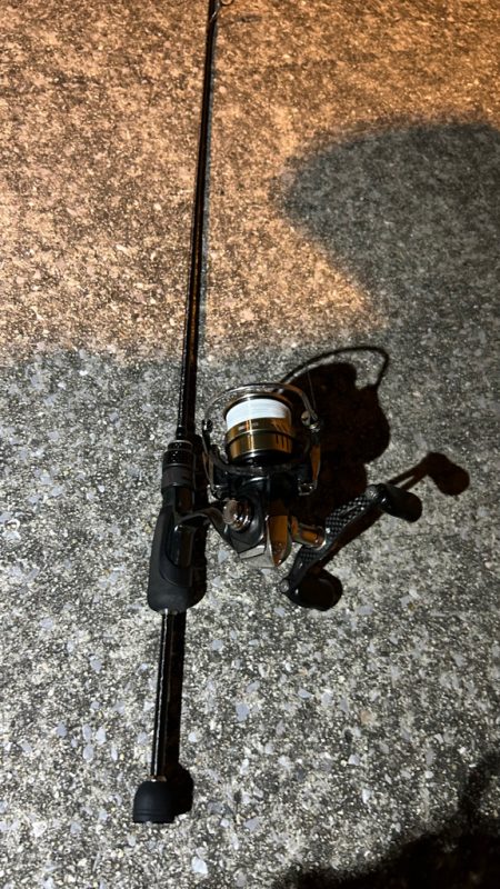 風強めのアジング