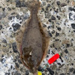 爆風の朝マズメ