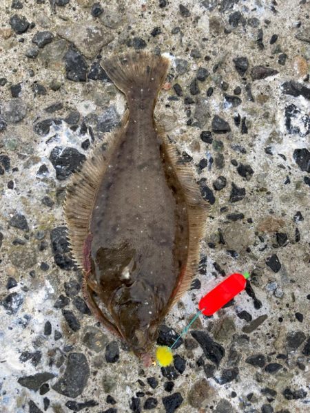 爆風の朝マズメ