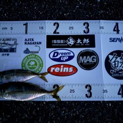 連休初日の夕方🎣