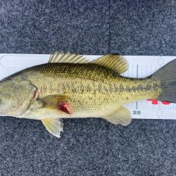 1日ボート釣行！