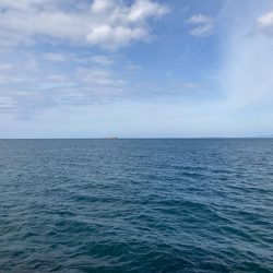 2024ライトゲーム第16戦