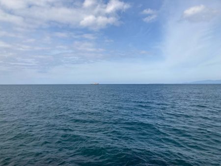 2024ライトゲーム第16戦