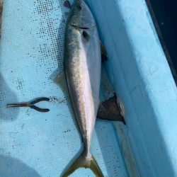 ティップラン不発、なんとかお土産確保