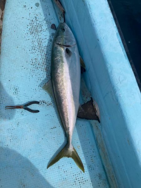 ティップラン不発、なんとかお土産確保