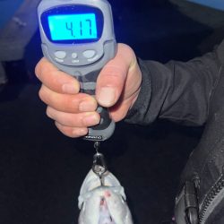 Gw★毎年恒例四国遠征!!!!!!!!!!