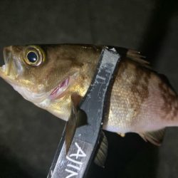 メバリングイベント03