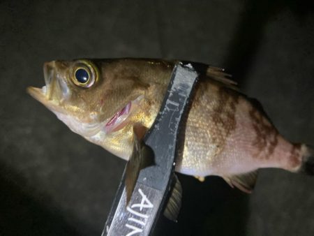 メバリングイベント03