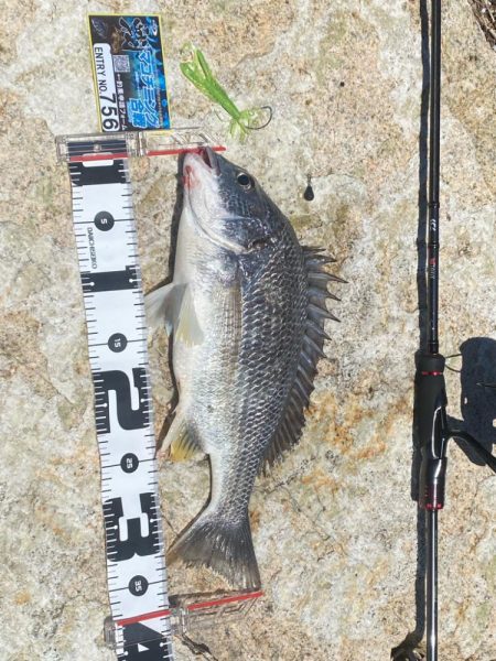 ゴミがいっぱいだけど釣れる