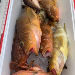 毎年恒例の丹後SLJ