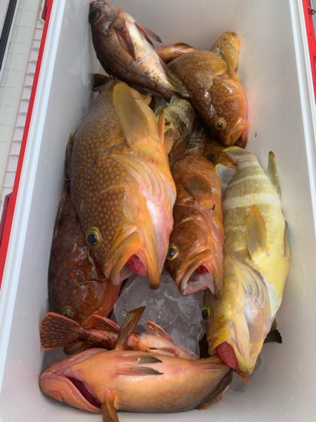 毎年恒例の丹後SLJ