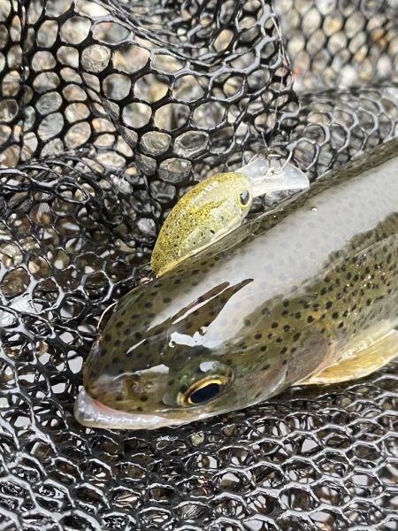 大雨鱒フィッシング