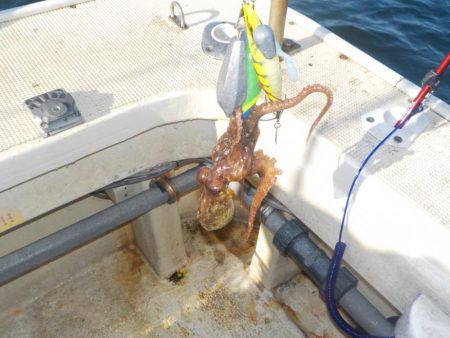 船タコ第2戦〜盛和丸 数釣り〜