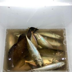 久しぶりのりんくう