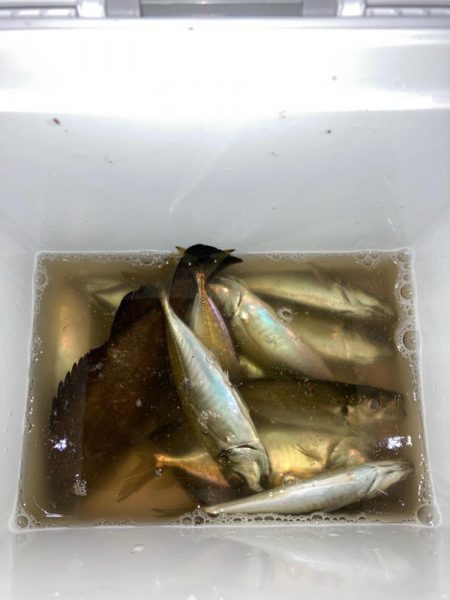 久しぶりのりんくう