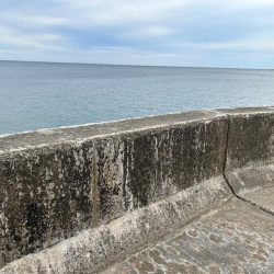 ショアジギング