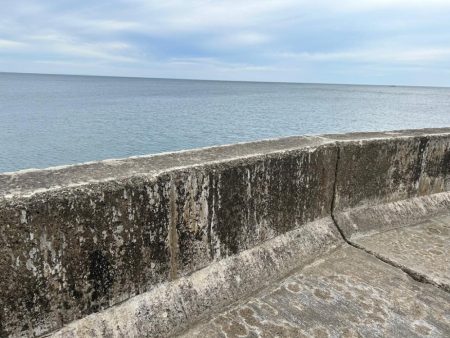 ショアジギング