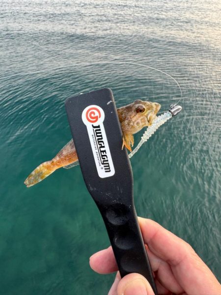 仕事終わってからの🎣