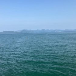 新転地で初アオリ！！