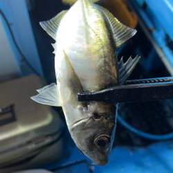 劇渋イカメタル