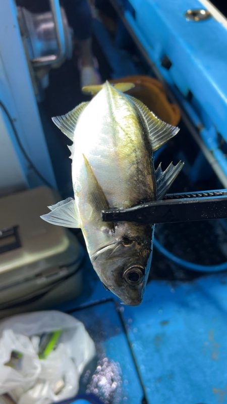 劇渋イカメタル