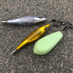 淡路のタコ釣り