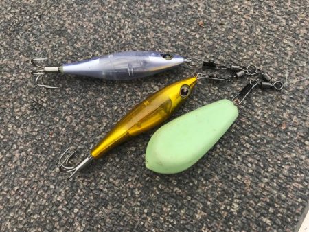 淡路のタコ釣り