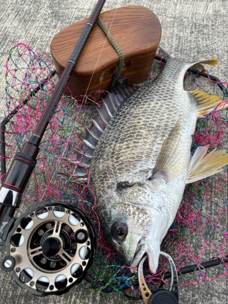 ヘチってきました