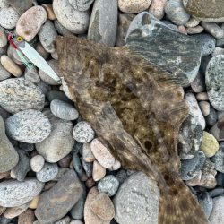 今日も青物狙い