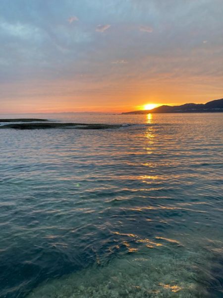 チョット小さめ春イカ