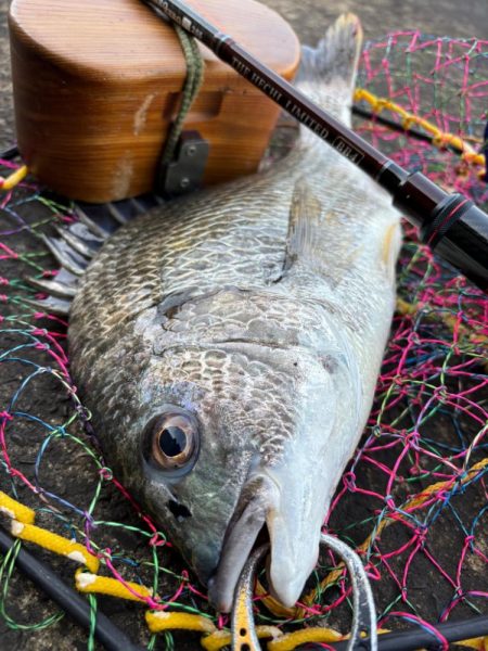 ヘチってきました