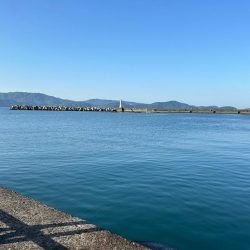 キス釣り、アジ、イワシ五目釣り