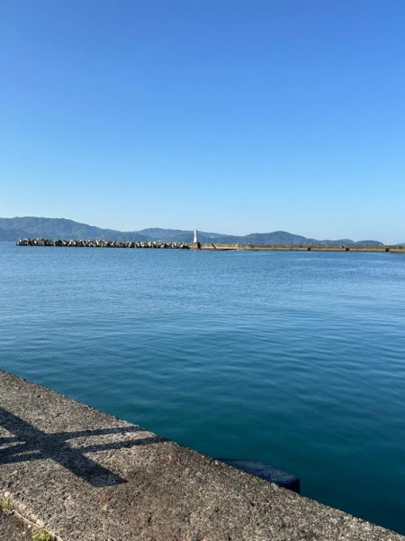 キス釣り、アジ、イワシ五目釣り