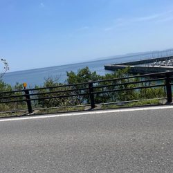 やっぱりアナタですね…