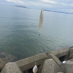 シロギスタのDo As Infinityな一日