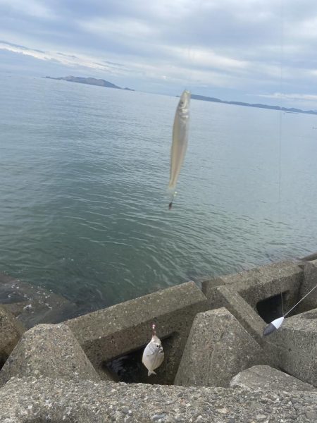 シロギスタのDo As Infinityな一日