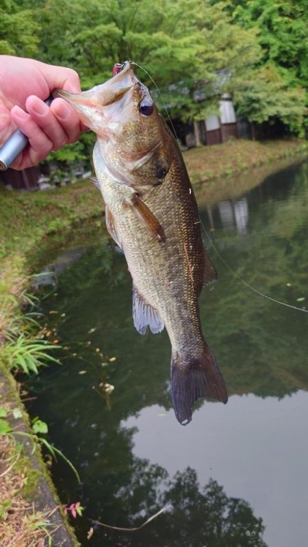 アフターの釣り方
